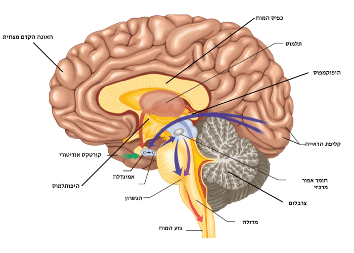 Screen Shot 2017-04-14 at 17.01.37.png