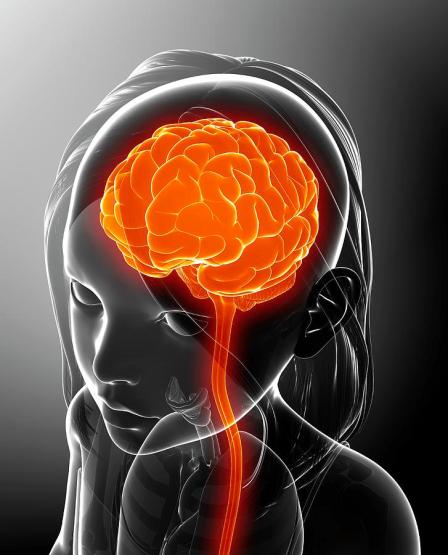 childs-brain-pixologicstudioscience-photo-library 2.jpg