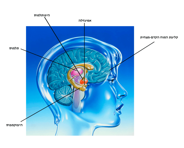 Screen Shot 2019-05-10 at 8.14.14 PM